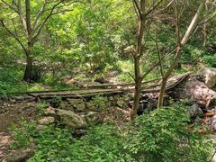 -云岫谷自然风景区