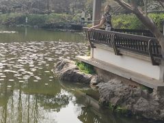 -杭州植物园