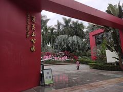 -莲花山公园