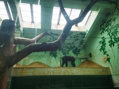 -辛玛王国游乐园