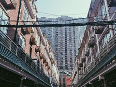 -华林禅寺