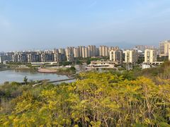 -飞凤山奥体公园