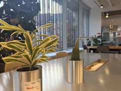 -WeWork中国(三里屯11号社区店)