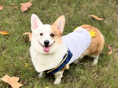 -西北湖绿化广场