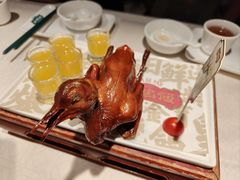 -大鸽饭(动物园店)