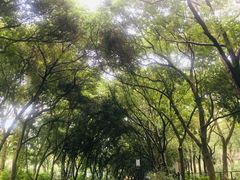 -沙河粉村·国家非遗传承(云台店)