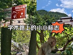 -黔灵山公园