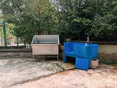 -汪说喵讲宠物乐园宠物酒店(红星美凯龙店)