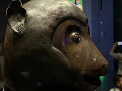 -广西壮族自治区博物馆