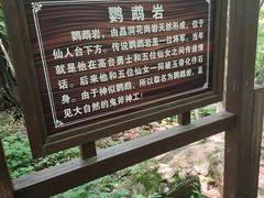 -五女峰国家森林公园