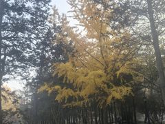-青岛海滨风景区