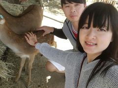 -鹿境梅花鹿生态园区