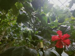 -南山植物园