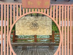 -大湾区中央湿地公园