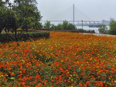 -上海山野camping·户外天幕烧烤·团建拓展营地