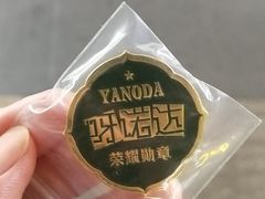 -呀诺达热带雨林