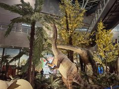 -湖南省地质博物馆