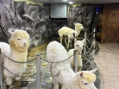 -上海大自然野生昆虫馆(东方明珠·爬宠昆虫探索中心)