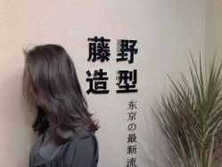 点击看大图 -藤野造型