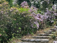 -庐山西海主景区