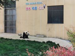 -西安秦岭野生动物园