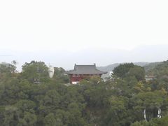 -金鸡山公园