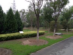 -永定河休闲森林公园