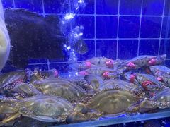 -鱼市酒店(威海水产批发市场店)