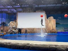 -华夏文旅海洋公园