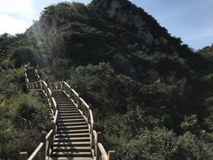 -大岭沟猕猴桃谷风景区