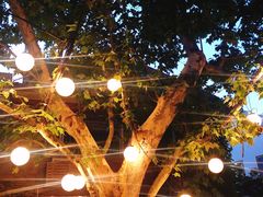 -Ginger(兴国路店)