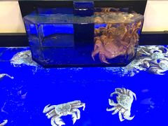 -蟹道乐(道顿堀本店)