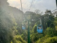 -野象谷景区