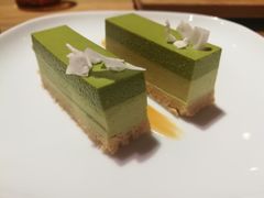 抹茶慕斯-柴务处·柴犬主题狗咖