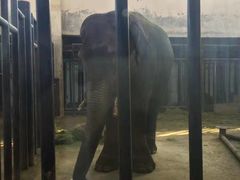 -新疆天山野生动物园