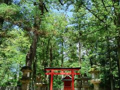 -奈良公园