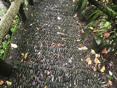 -神农架香溪源景区