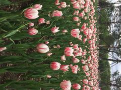 长春公园-长春公园(普阳街道)