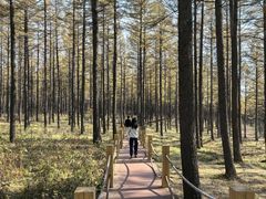 -塞罕坝国家级自然保护区