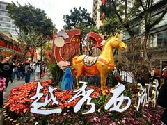 -越秀西湖花市(广州城市广场花卉店)