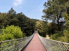 -铁山坪森林公园