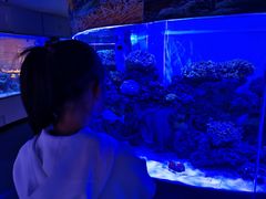 -上和臻品中国菜(花园街店)