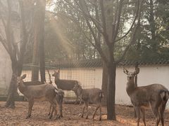 -观唐（国际）度假村温泉