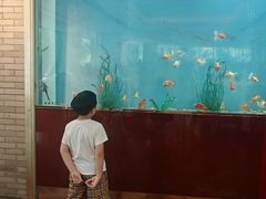 -阳澄湖费尔蒙酒店颐丰阁中餐厅(马鞍山西路店)