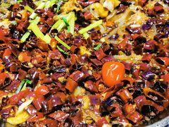 -老板恋上鱼(恒隆广场店)