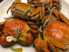 -上海齐鲁万怡大酒店·辣椒屋咖啡厅