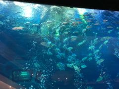 -成都浩海立方海洋公园