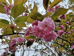 -杭州城北体育公园