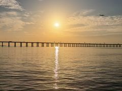 -宝安西湾红树林湿地公园