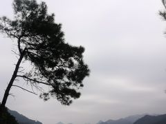 -羚羊峡古栈道森林公园